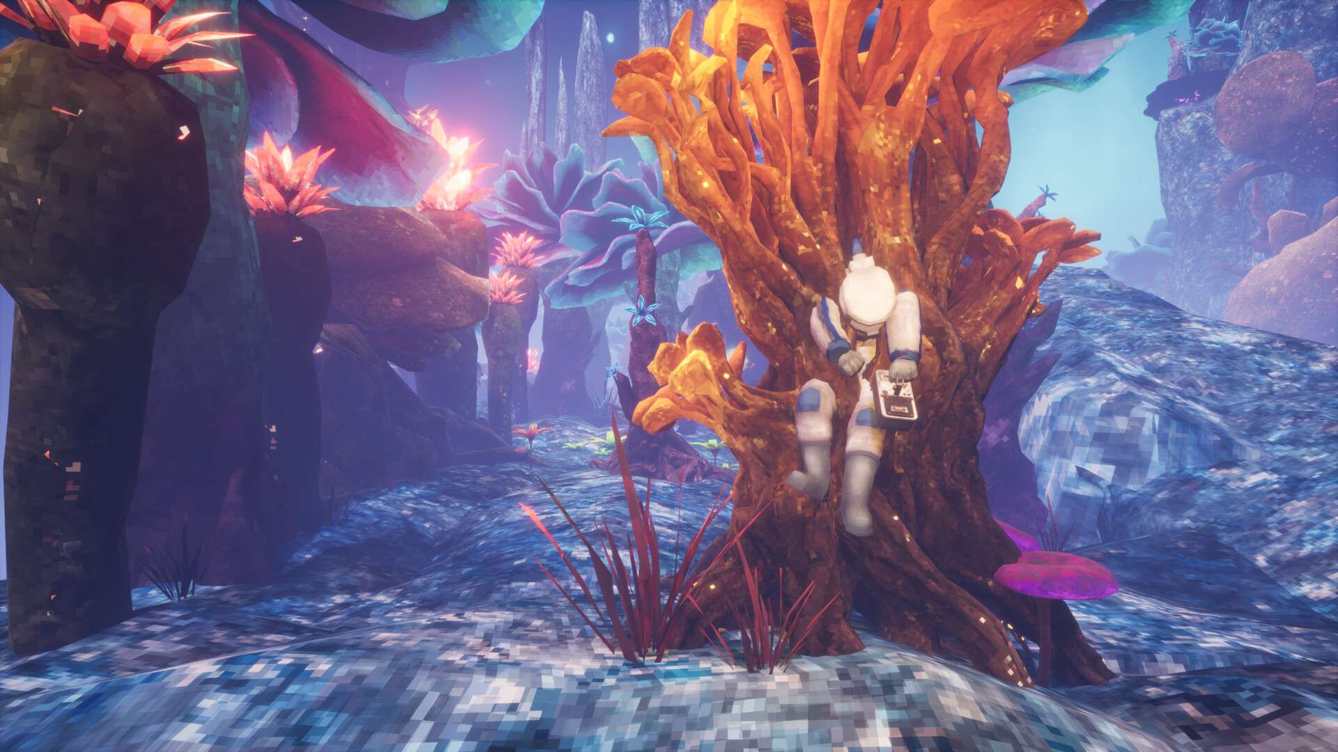 非生物因素/Abiotic Factor/支持网络联机