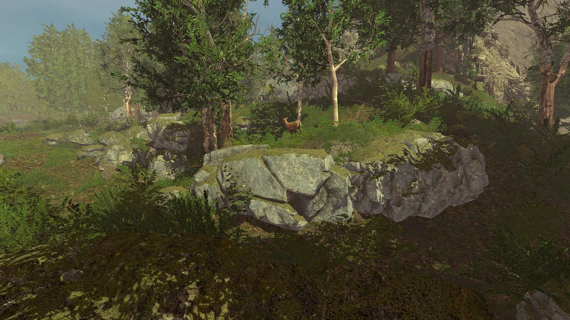 荒野的试炼/Trials of Wilderness