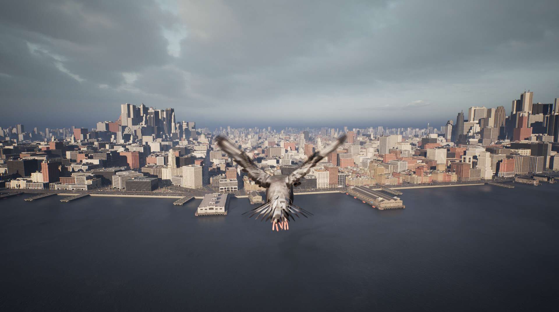 鸽子飞行模拟器/Pigeon Flight Simulator