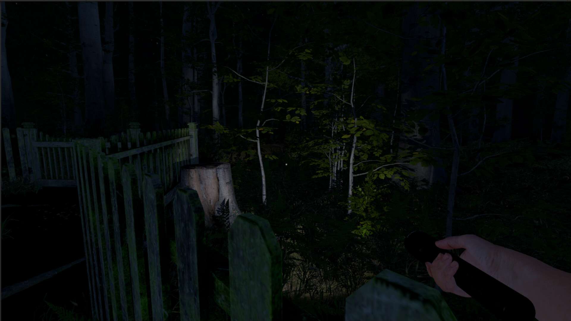 灰人：人类绑架/The Greys: Human Abductions