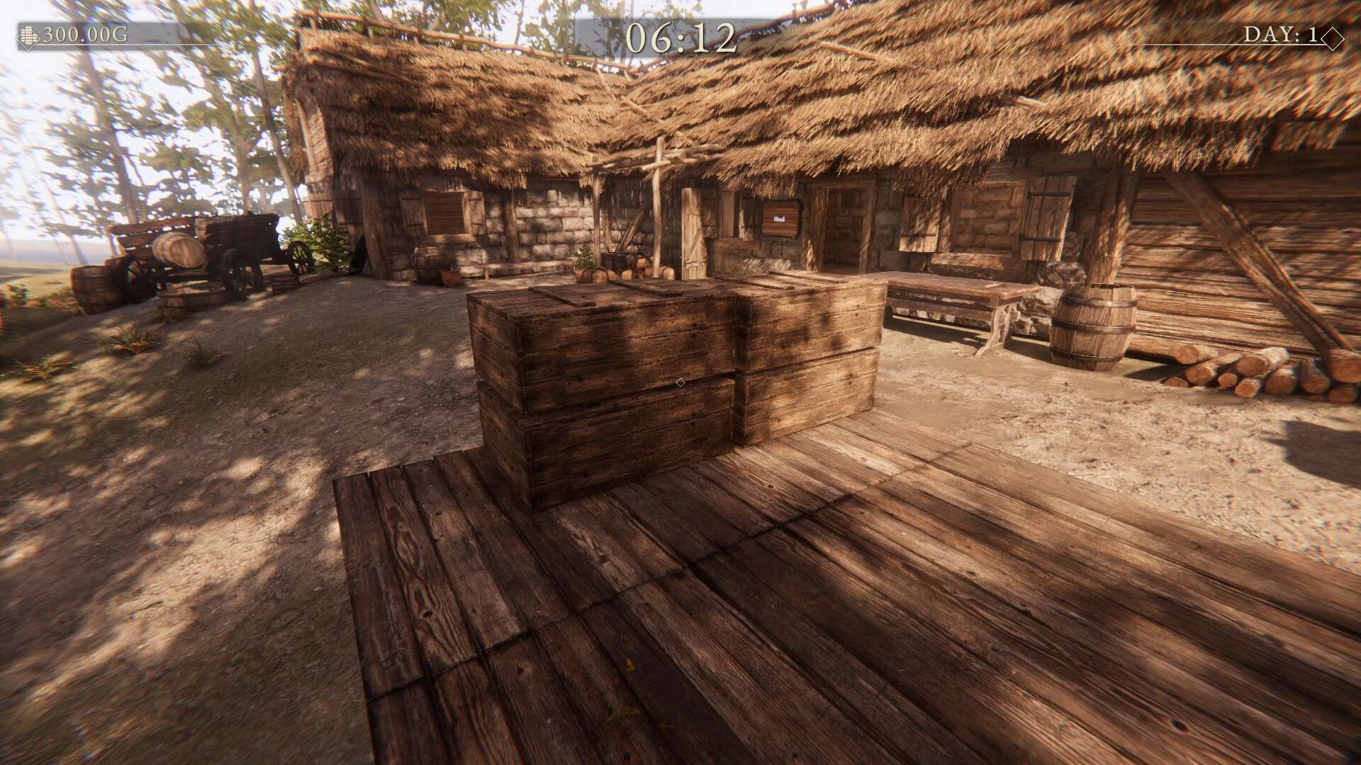 村庄商人/Village Merchant