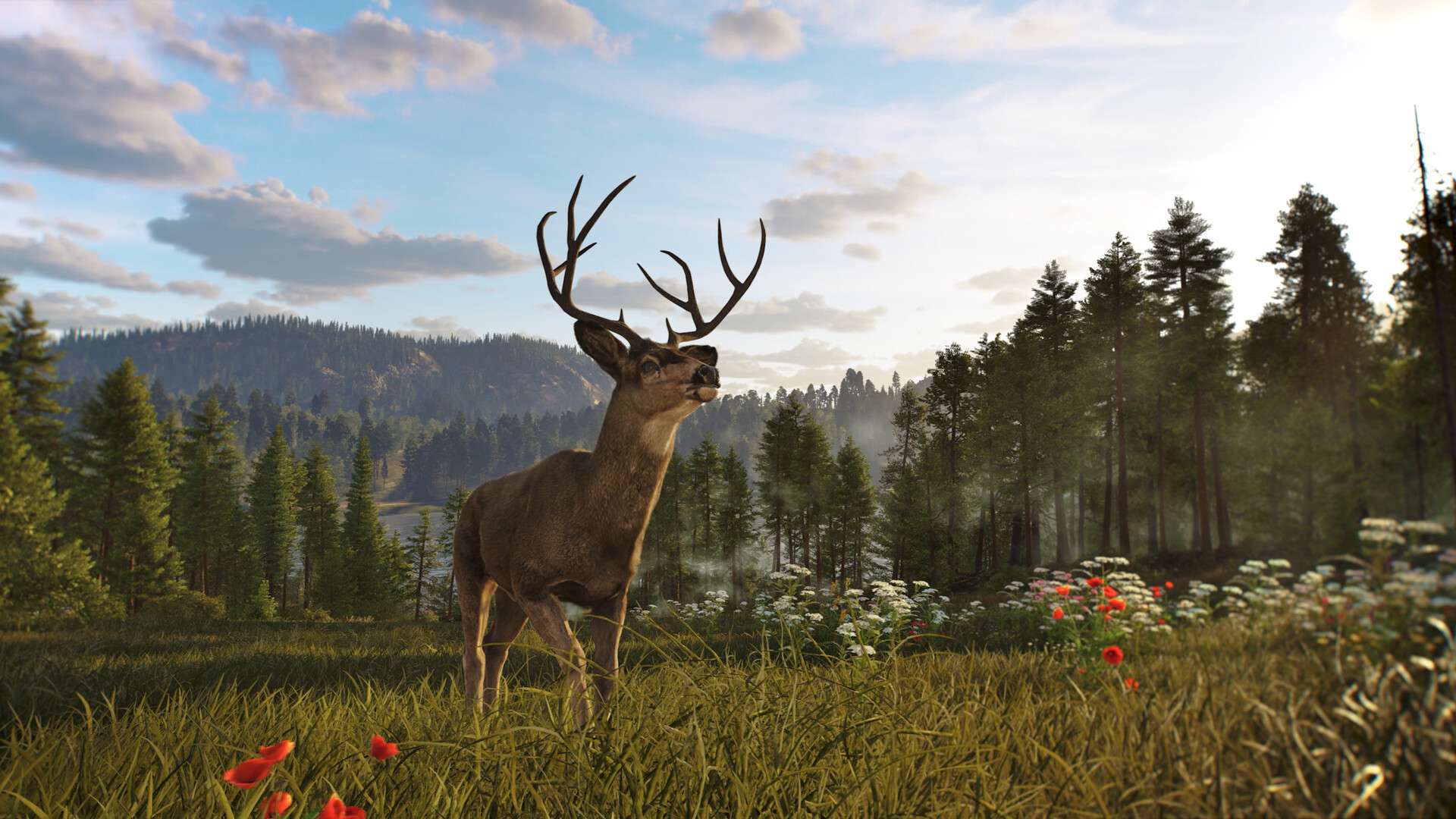 狩猎之道2/Way of the Hunter 2