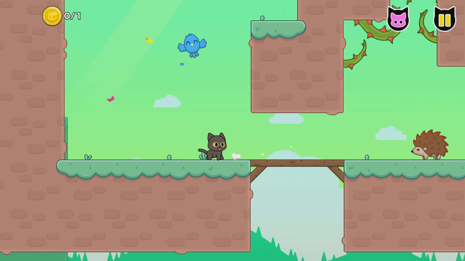 猫咪爱鸟/Kitty Loves Birds