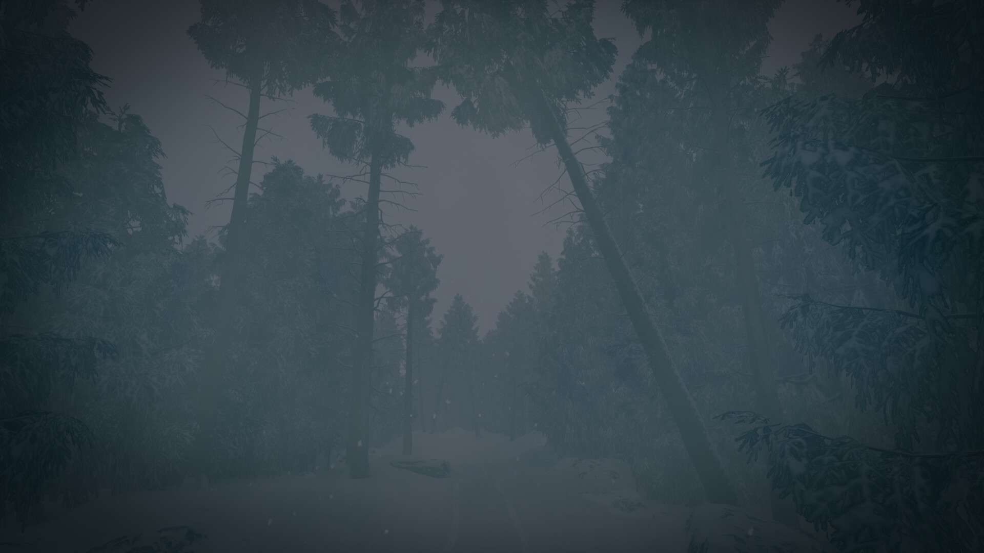 最后的滑雪之旅/The Last Ski Trip