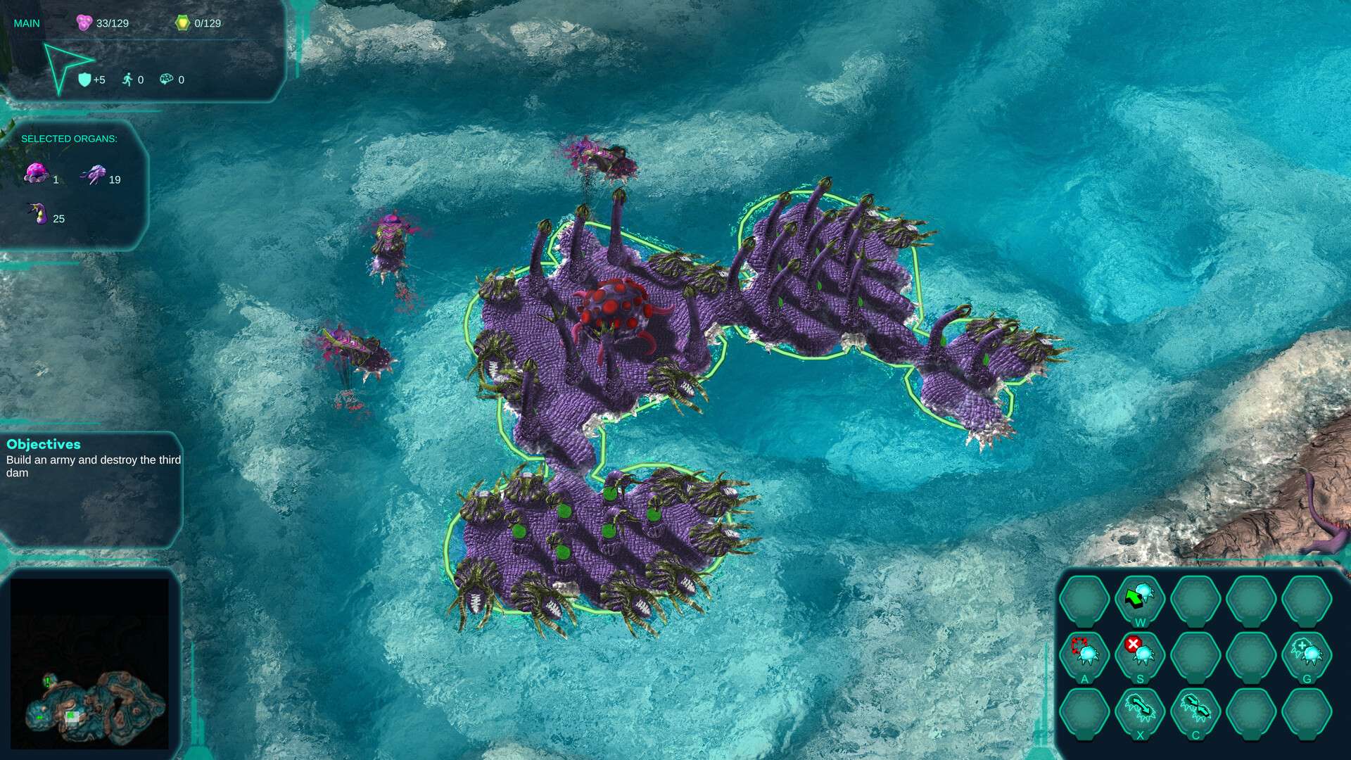 莫度战争/Moduwar